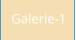 Galerie-1